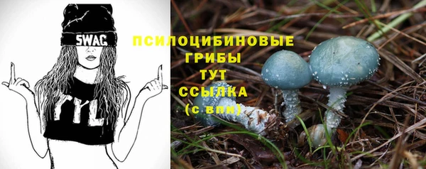 мескалин Баксан
